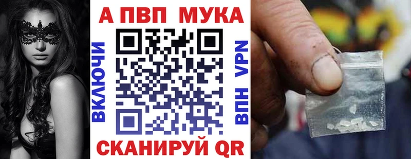A PVP СК Балашиха