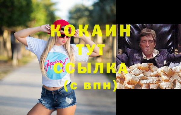 гашик Алзамай