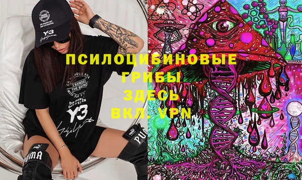 гашик Алзамай