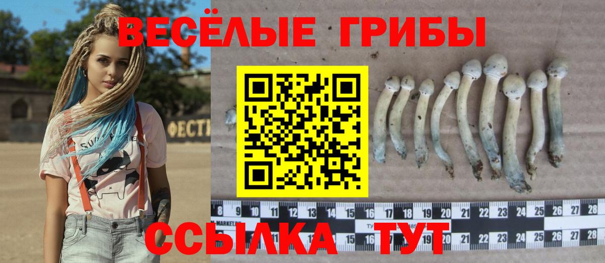 Галлюциногенные грибы прущие грибы Балашиха
